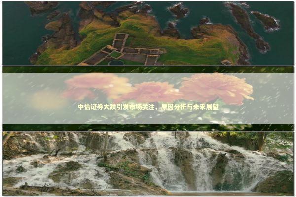中信证券大跌引发市场关注，原因分析与未来展望