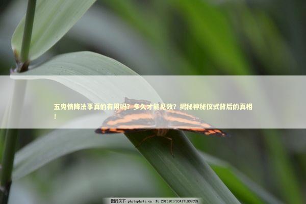 五鬼情降法事真的有用吗？多久才能见效？揭秘神秘仪式背后的真相！