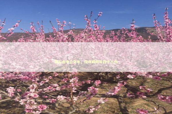 落石击中公交车，惊魂瞬间导致十八伤