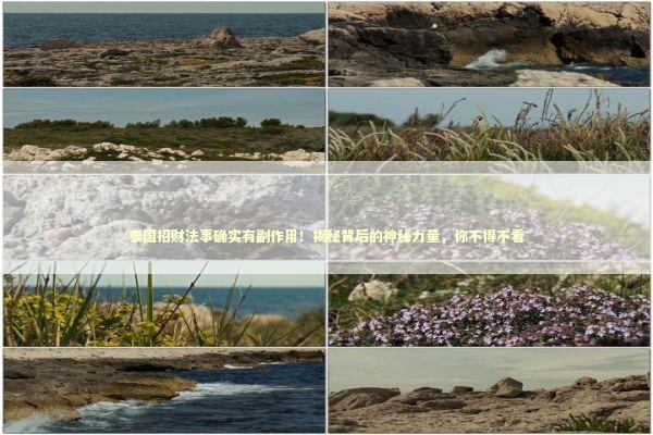 泰国招财法事确实有副作用！揭秘背后的神秘力量，你不得不看