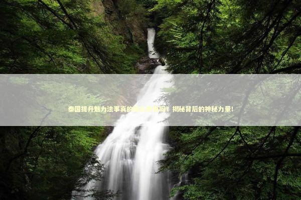 泰国提升魅力法事真的那么神奇吗？揭秘背后的神秘力量！