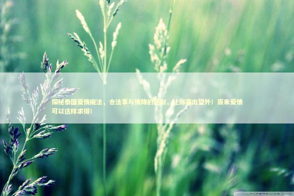 探秘泰国爱情魔法，合法事与情降的区别，让你喜出望外！原来爱情可以这样求得！