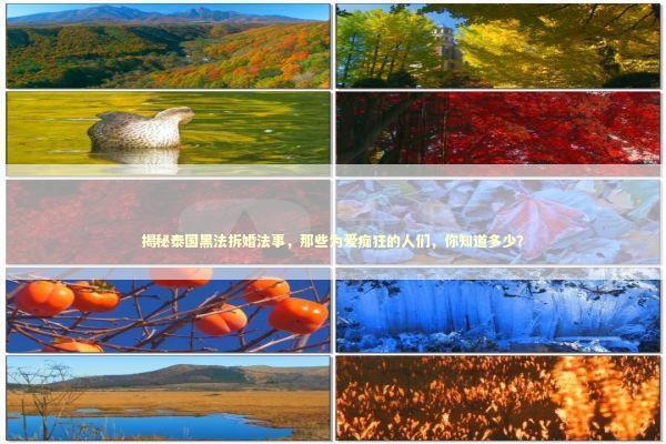 揭秘泰国黑法拆婚法事，那些为爱痴狂的人们，你知道多少？