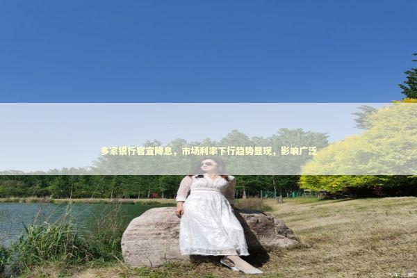 多家银行官宣降息，市场利率下行趋势显现，影响广泛