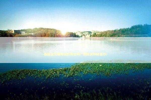 泰国血咒情降真的有效吗？揭秘其神秘面纱！