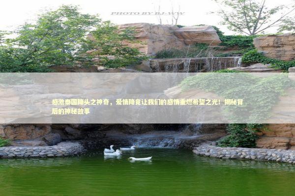 感激泰国降头之神奇，爱情降竟让我们的感情重燃希望之光！揭秘背后的神秘故事