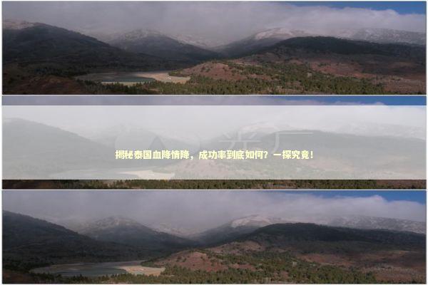 揭秘泰国血降情降，成功率到底如何？一探究竟！