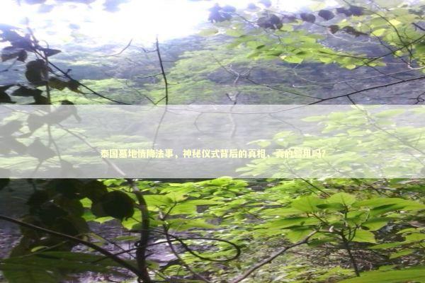 泰国墓地情降法事，神秘仪式背后的真相，真的管用吗？