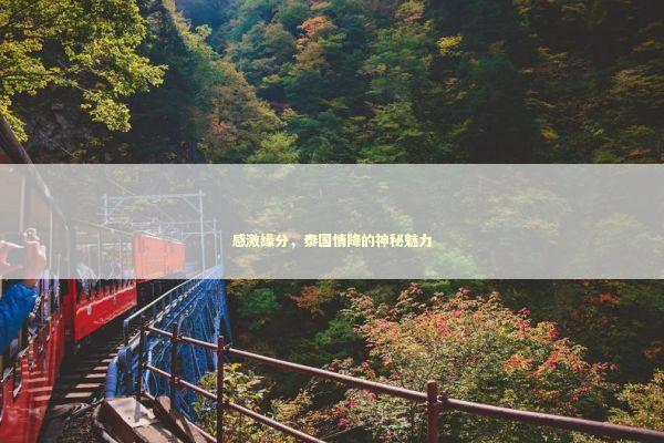 感激缘分，泰国情降的神秘魅力