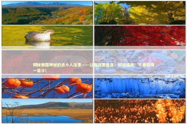 揭秘泰国神秘的去小人法事——让你远离是非，好运连连！不看后悔一辈子！