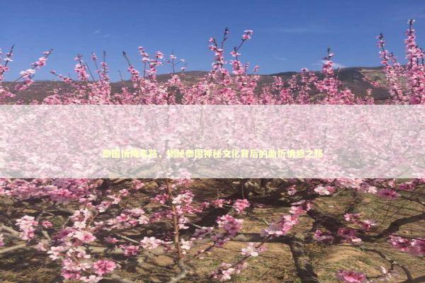 泰国情降弯路，揭秘泰国神秘文化背后的曲折情感之路