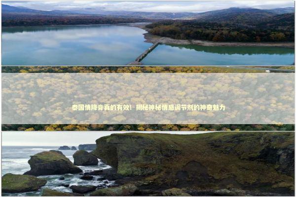 泰国情降膏真的有效！揭秘神秘情感调节剂的神奇魅力