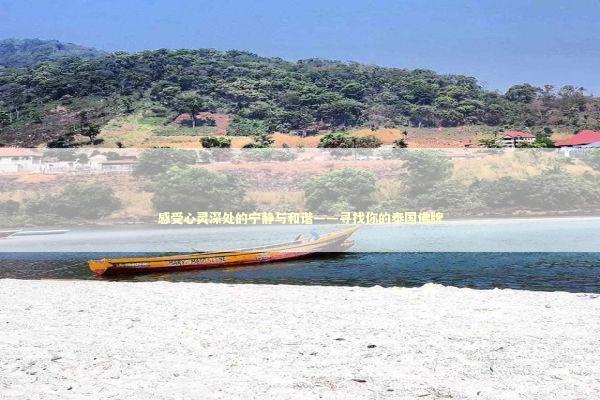 感受心灵深处的宁静与和谐——寻找你的泰国佛牌