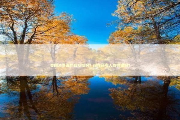 泰国法事真的有反噬吗？现在还有人敢尝试吗？