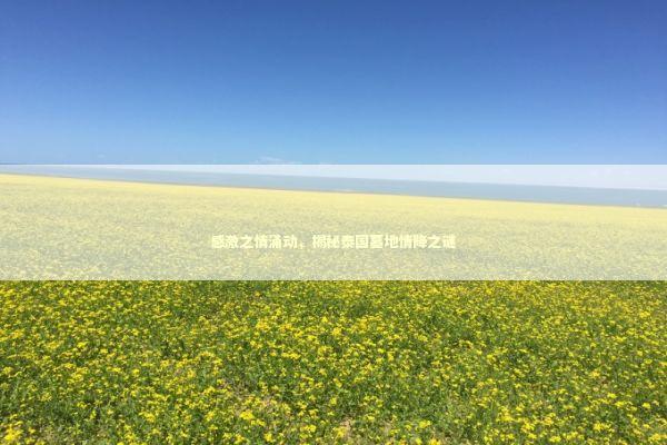 感激之情涌动，揭秘泰国墓地情降之谜