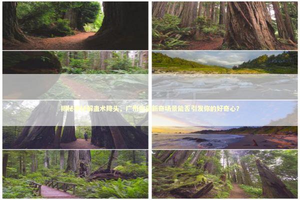 揭秘神秘解蛊术降头，广州街头新奇场景能否引发你的好奇心？