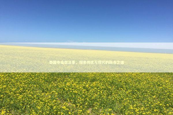 泰国寺庙做法事，探索传统与现代的融合之道