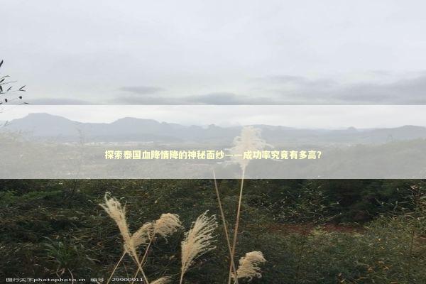 探索泰国血降情降的神秘面纱——成功率究竟有多高？