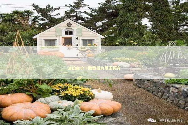 油价金价下跌背后的原因探究
