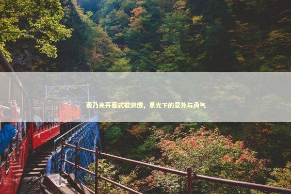 贾乃亮开幕式被淋透，星光下的意外与勇气