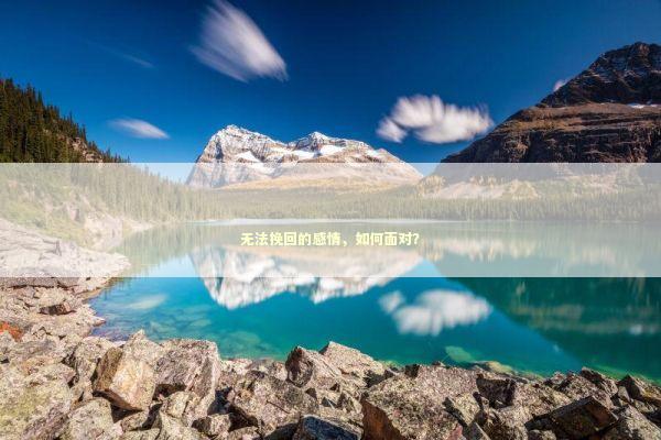 无法挽回的感情，如何面对？