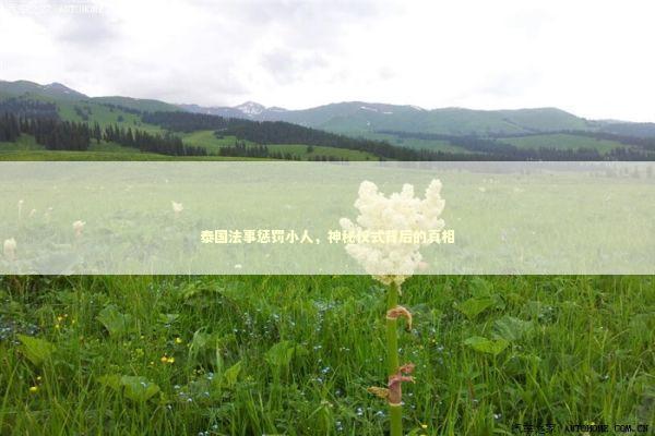 泰国法事惩罚小人，神秘仪式背后的真相