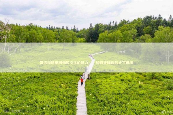 带你领略泰国佛教文化的魅力——如何正确佩戴正宗佛牌