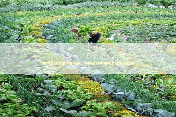 跳水女双闪耀世界赛场，中国勇夺三米板金牌再创辉煌