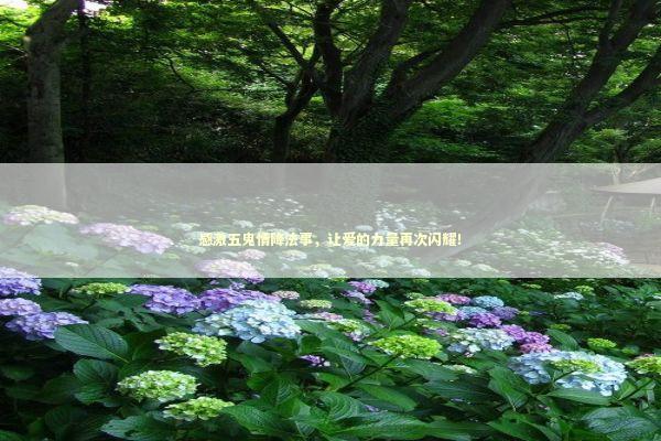 感激五鬼情降法事，让爱的力量再次闪耀！