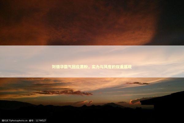 刘德华霸气回应黑粉，实力与风度的双重展现