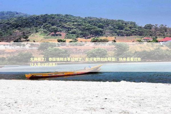 太神奇了！泰国情降法事起效了，反应竟然如此明显！快来看看这些让人高兴的迹象！