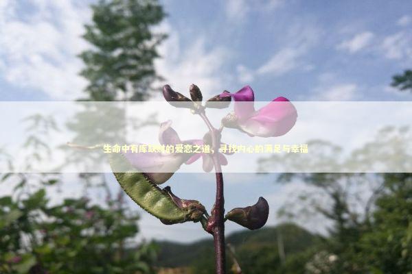 生命中有库缺财的爱恋之道，寻找内心的满足与幸福