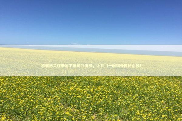 感谢您关注泰国下情降的价格，让我们一起揭开神秘面纱！
