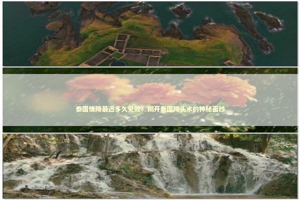 泰国情降最迟多久见效？揭开泰国降头术的神秘面纱