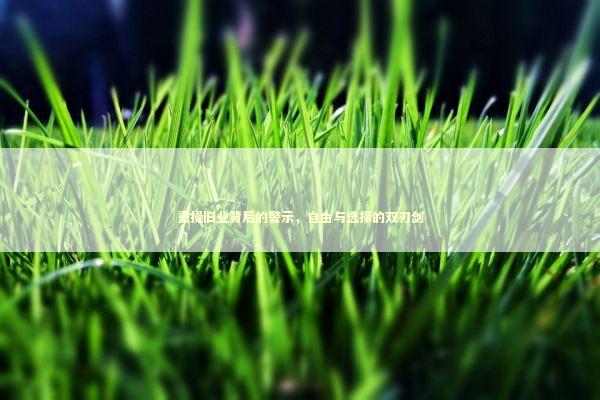重操旧业背后的警示，自由与选择的双刃剑