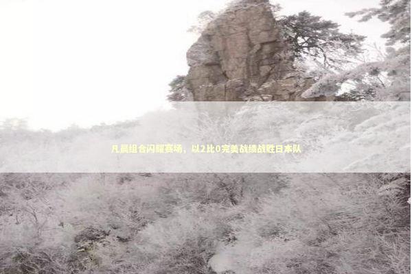 凡晨组合闪耀赛场，以2比0完美战绩战胜日本队