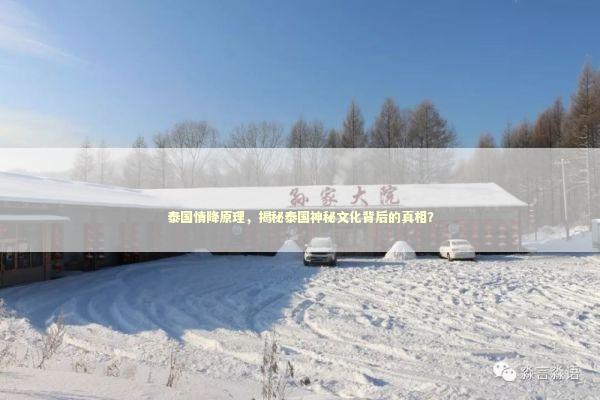 泰国情降原理，揭秘泰国神秘文化背后的真相？