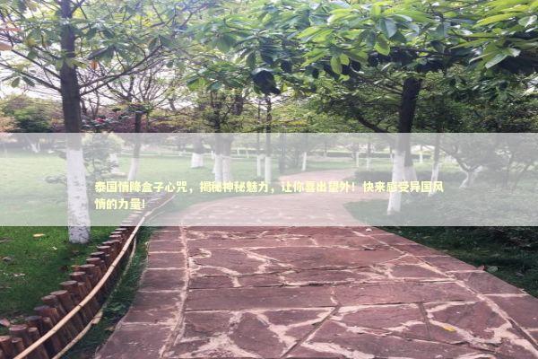 泰国情降盒子心咒，揭秘神秘魅力，让你喜出望外！快来感受异国风情的力量！