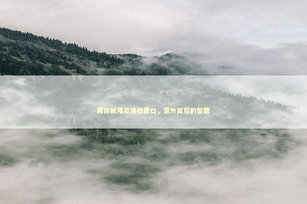 男孩被甩高速收费口，意外背后的警醒