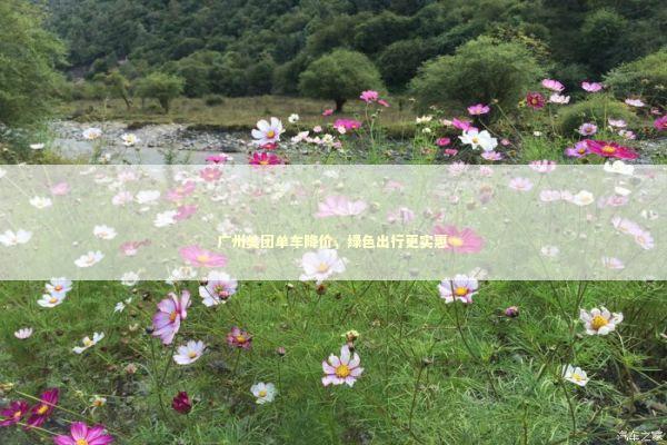 广州美团单车降价，绿色出行更实惠