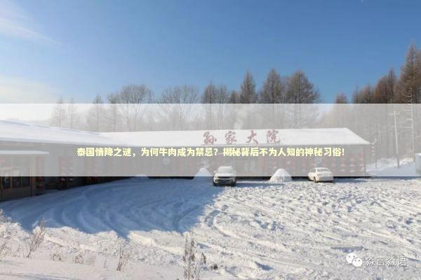 泰国情降之谜，为何牛肉成为禁忌？揭秘背后不为人知的神秘习俗！