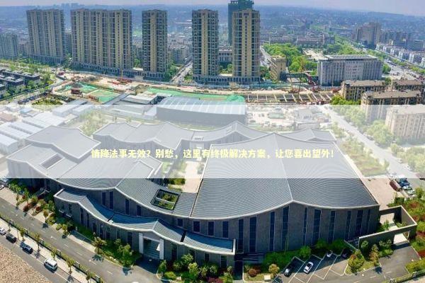 情降法事无效？别愁，这里有终极解决方案，让您喜出望外！