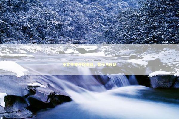 王宜林被开除党籍，警示与反思