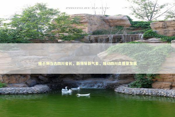 施小琳当选四川省长，新领导新气象，推动四川高质量发展
