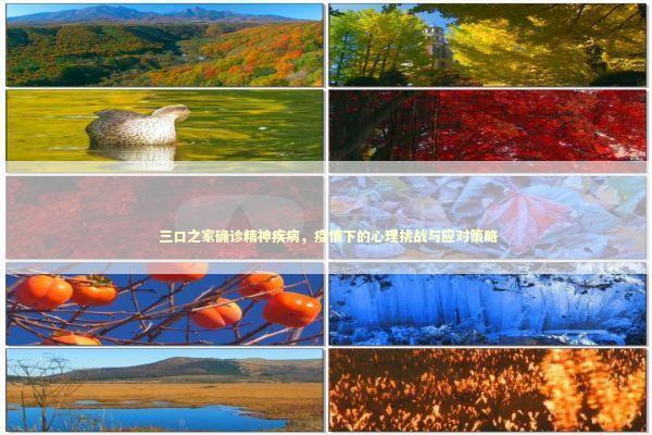  三口之家确诊精神疾病，疫情下的心理挑战与应对策略