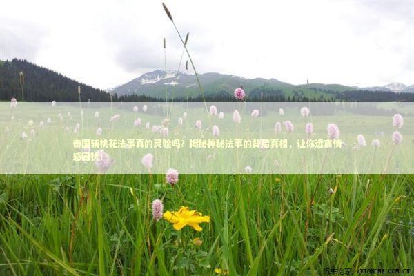 泰国斩桃花法事真的灵验吗？揭秘神秘法事的背后真相，让你远离情感困扰！