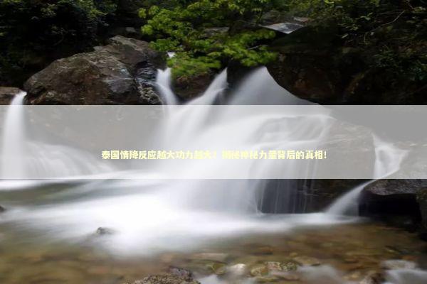 泰国情降反应越大功力越大？揭秘神秘力量背后的真相！