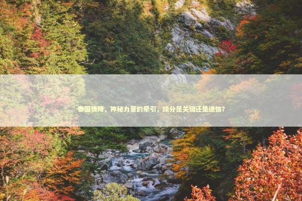 泰国情降，神秘力量的牵引，缘分是关键还是迷信？