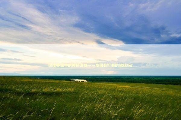 印度寺庙中的神秘法器——泰国有打着的佛牌吗？