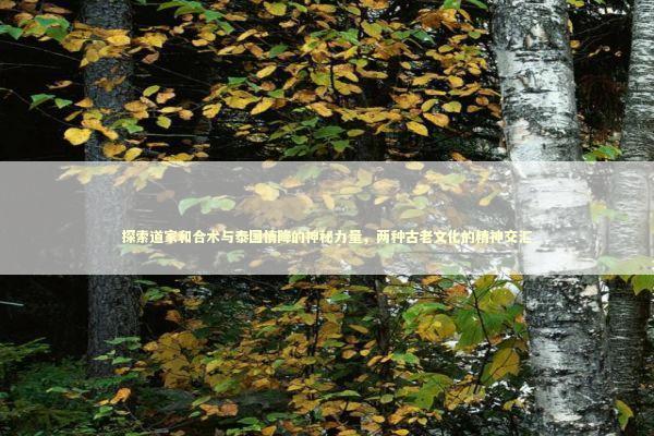 探索道家和合术与泰国情降的神秘力量，两种古老文化的精神交汇